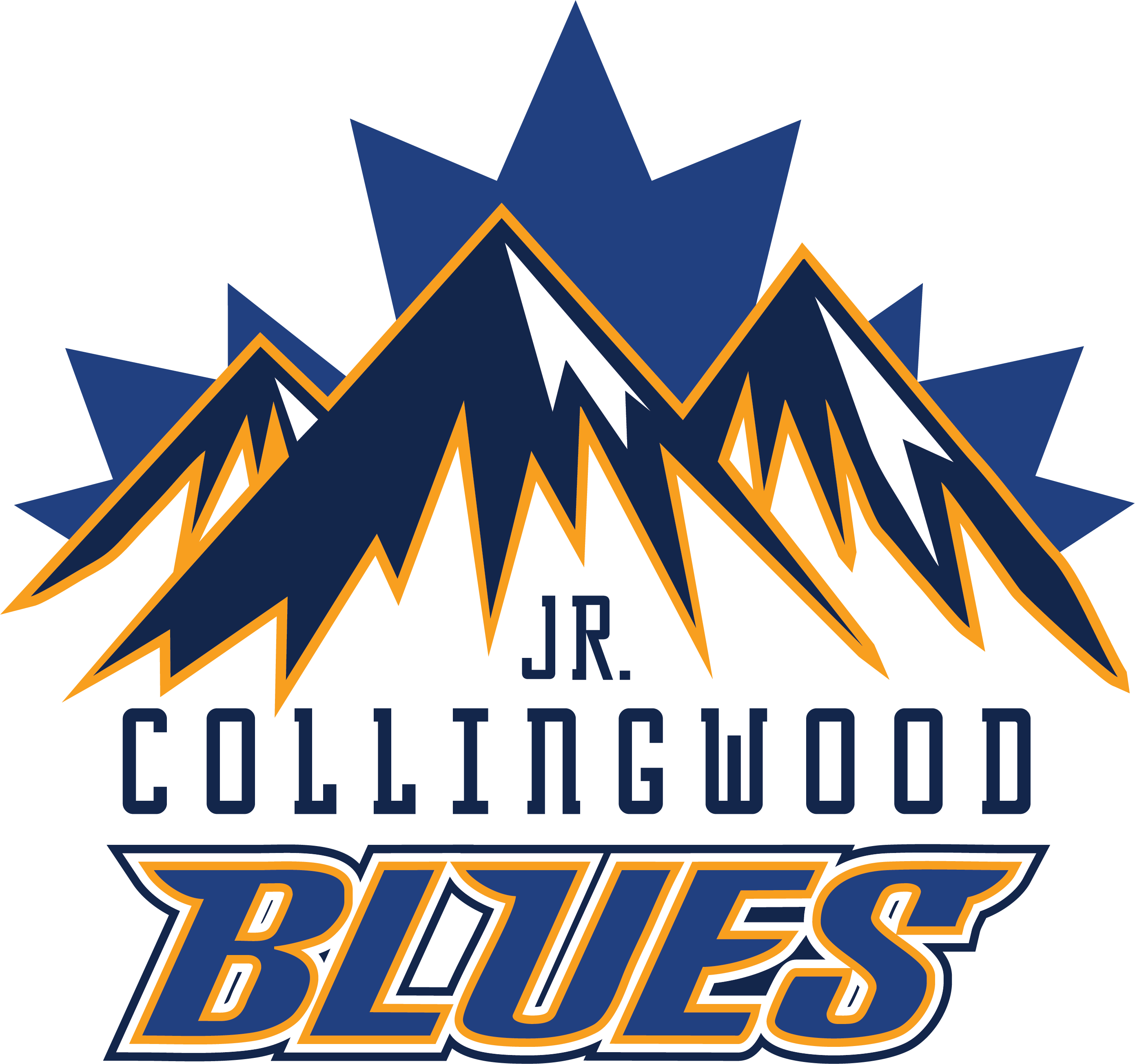 Jr._Blues_Branding_logo.1.png